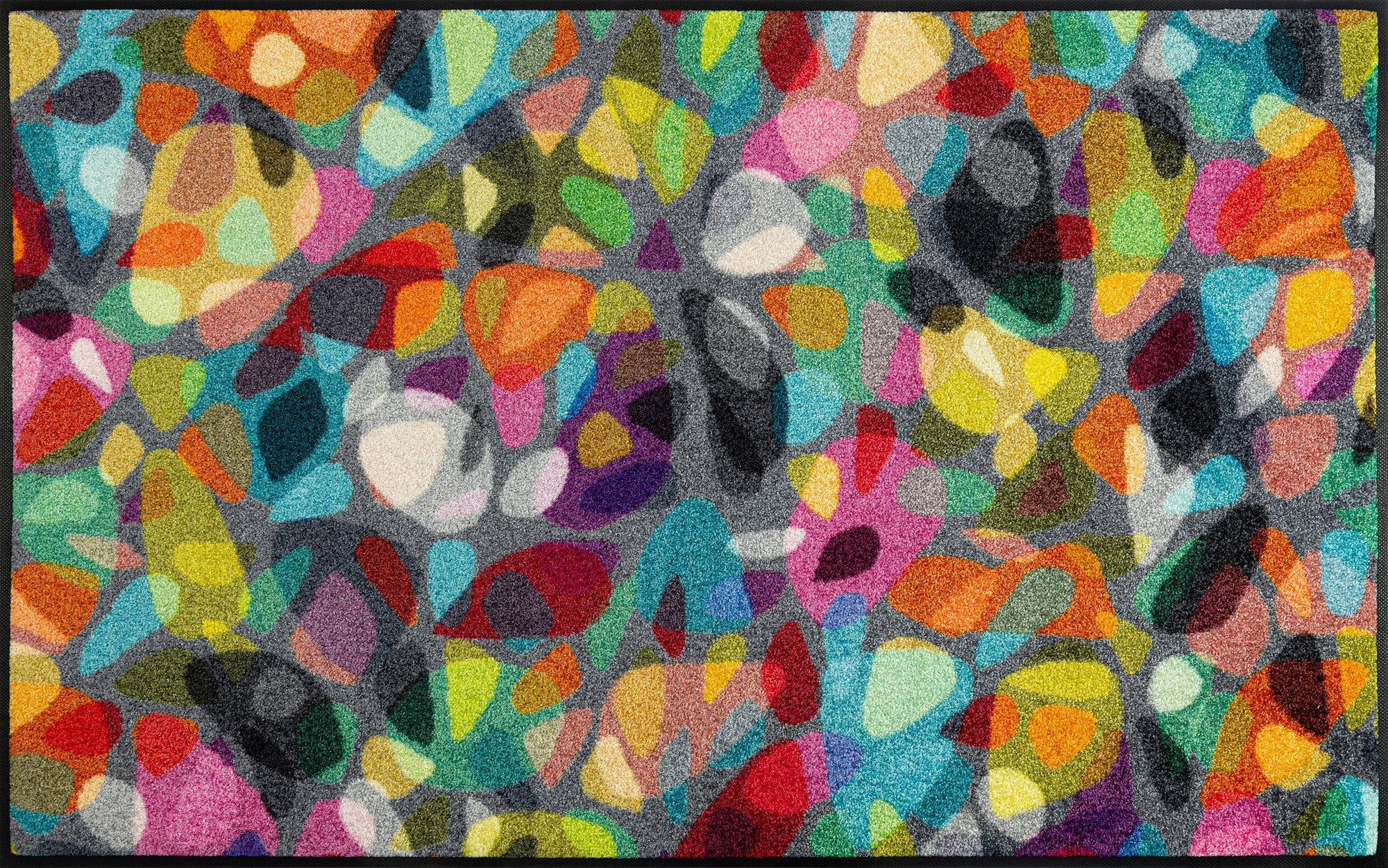 wash+dry Fussmatte Reodiva 75x120 cm 9010216062205