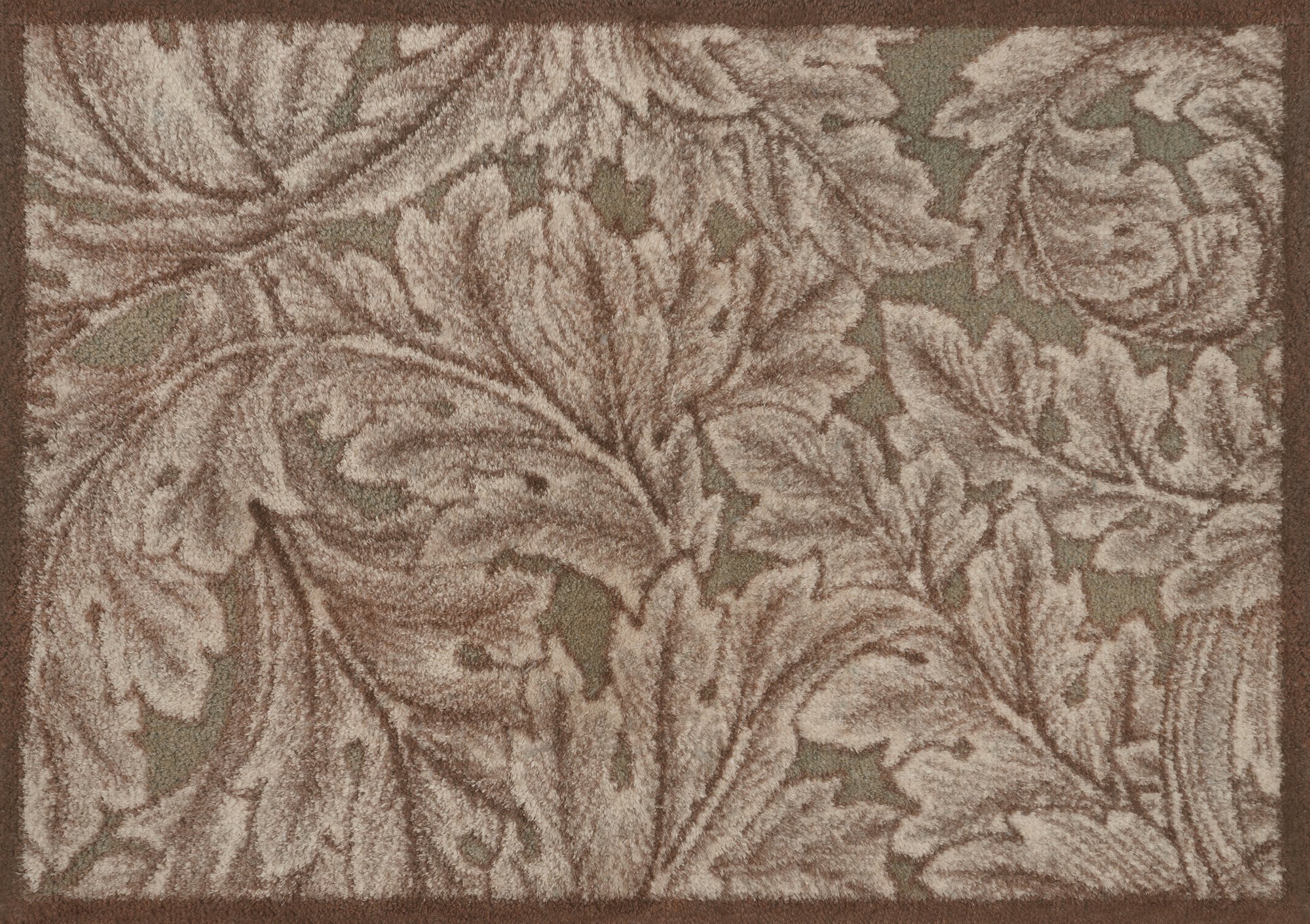 wash+dry Matte Acanthus Brown 60/85 5060731185341